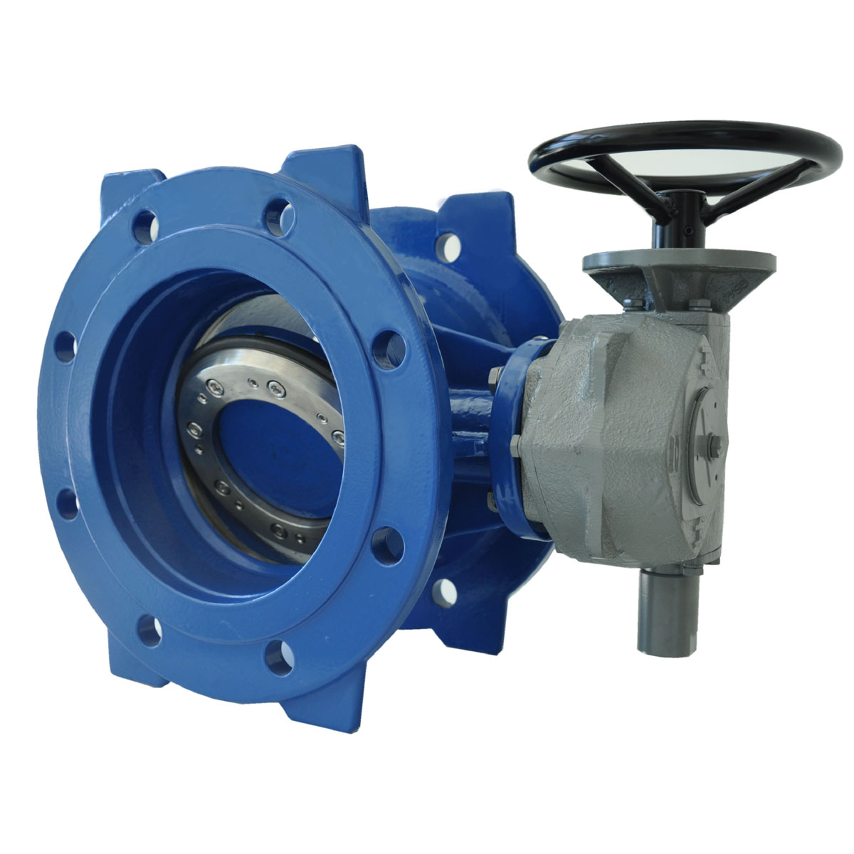 Butterfly Valves 1