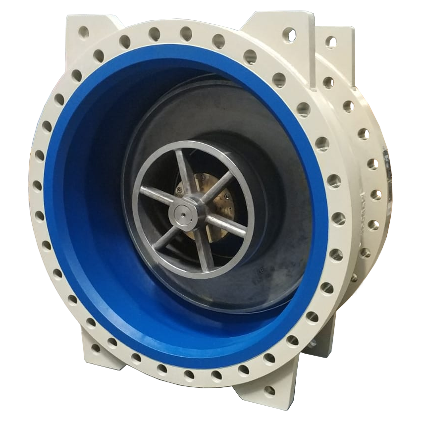 Non-slam Check Valves