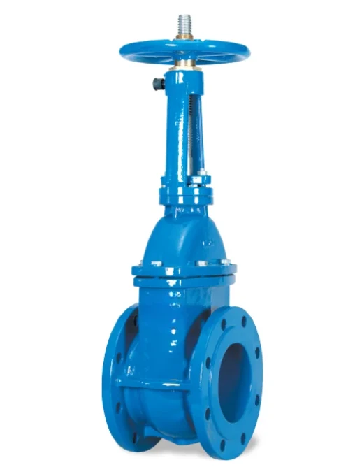 Rising Stem Gate Valve